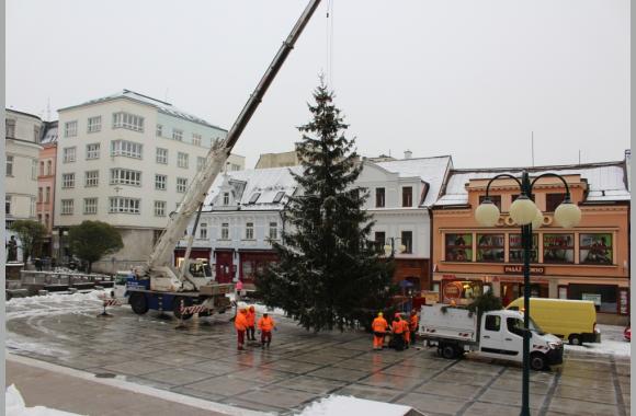 Aufstellen des Weihnachtsbaums in Gablonz